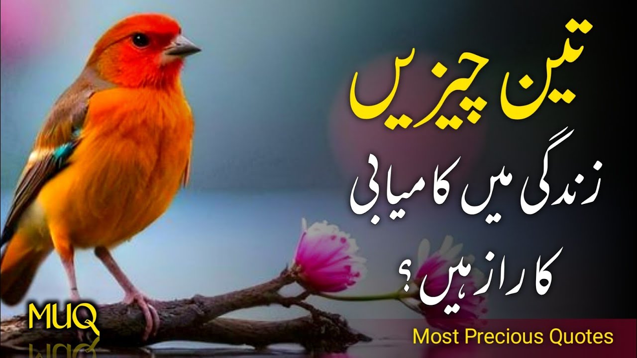 Urdu Quotes About Life | Allah Ki Batain | Quotes About Allah In Urdu Thoughts | Mindset Urdu Quotes