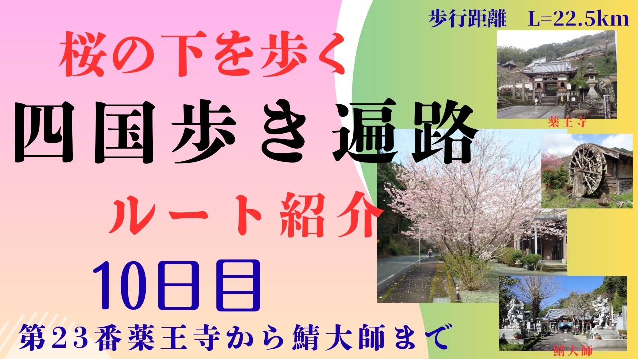 「初めての四国歩き遍路　１０日目」満開の桜の下を、日和佐から鯖大師まで歩きました。途中、小松大師に立ち寄りました。