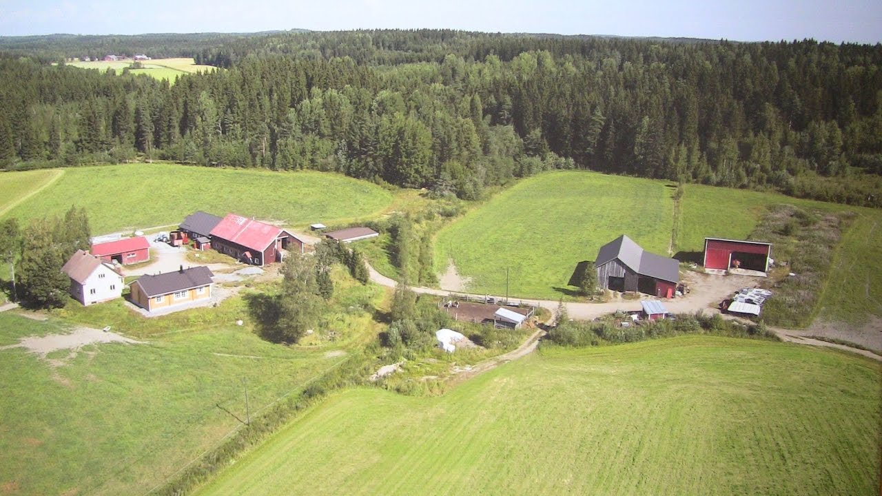 Arolan tilan esittely osa 3. rakennukset (+pihapiiri)
