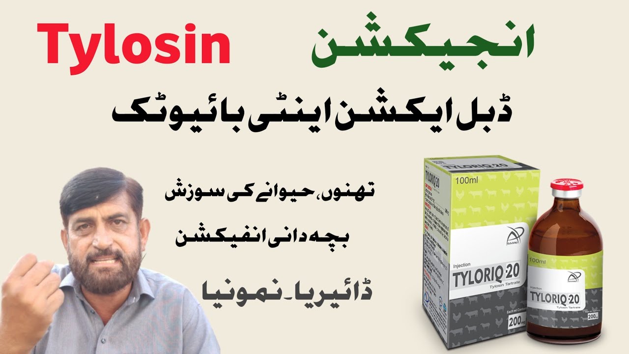 Best Use Of Injection Tylosin  | Tylosin use In Pleuropneumonia and Mastitis In Animals
