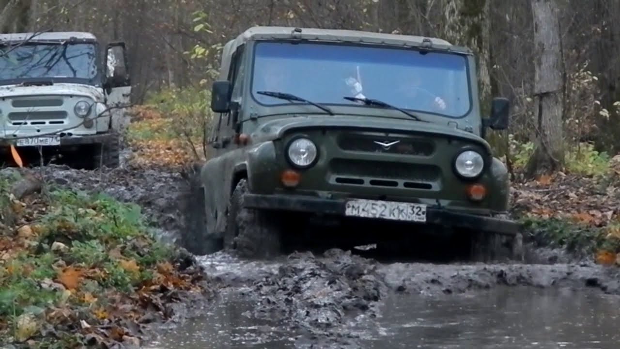 safari и nortec в лесу