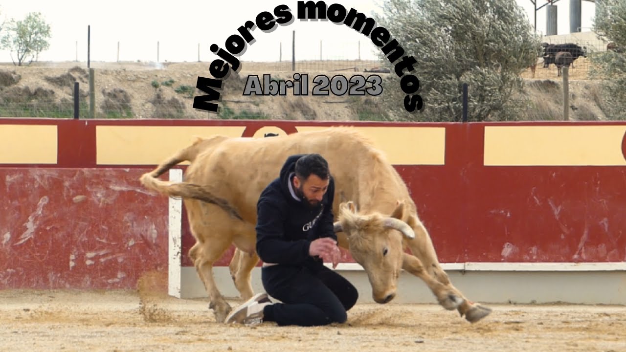 Mejores y peligrosos momentos de Abril