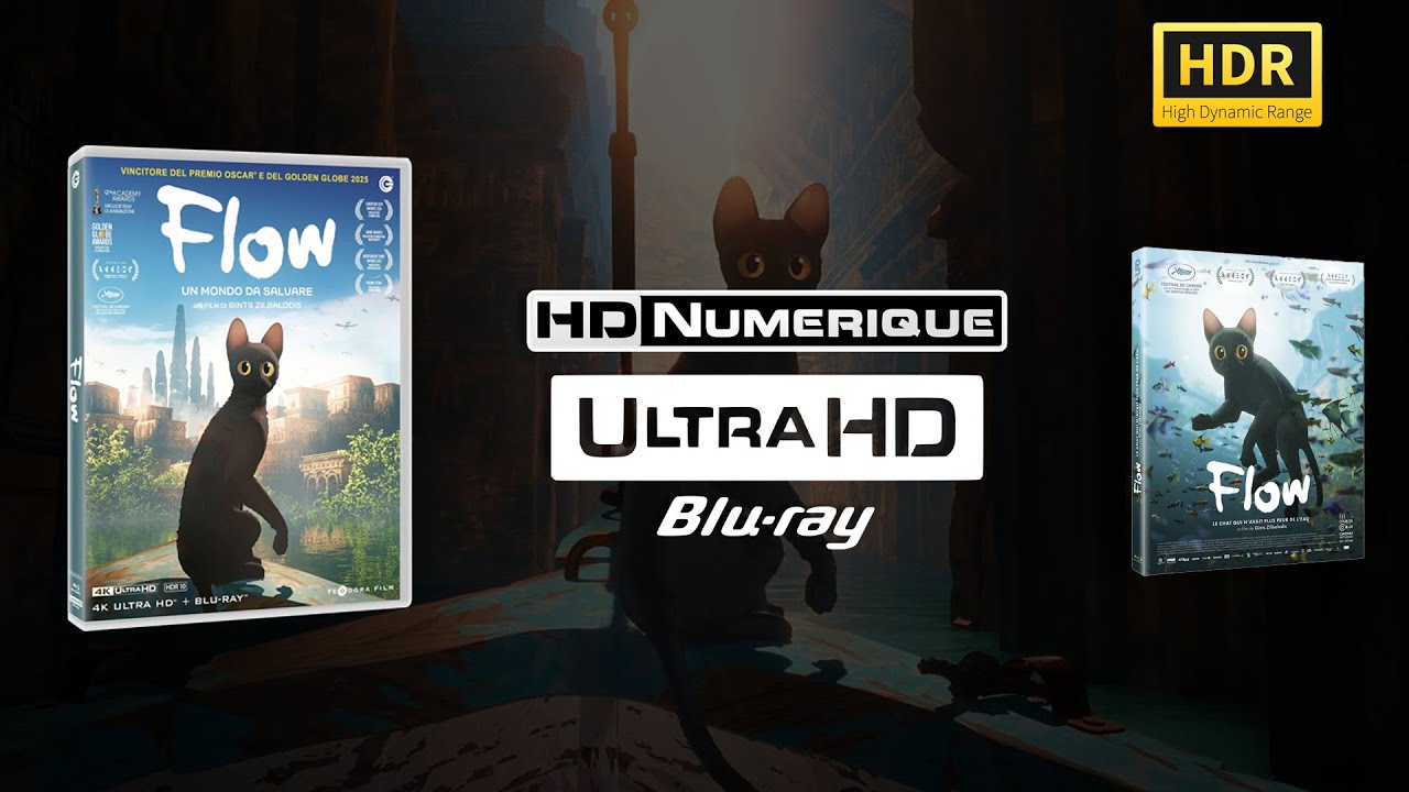 [HDR Required] Flow (2024) : 4K Ultra HD vs Blu-ray Comparison