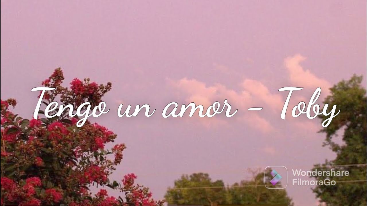 Tengo un amor - Toby Love ( Karaoke español )