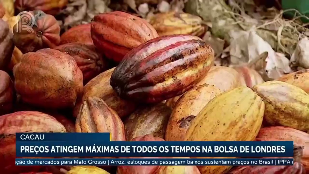 Mercado em 1 minuto | Canal Rural | 18/10/2023