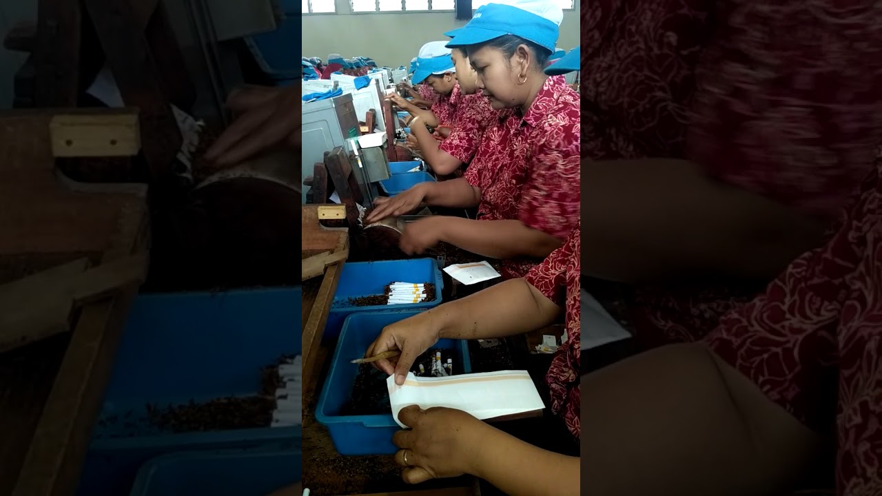 rahasia cara giling rokok kretek yang sempurna
