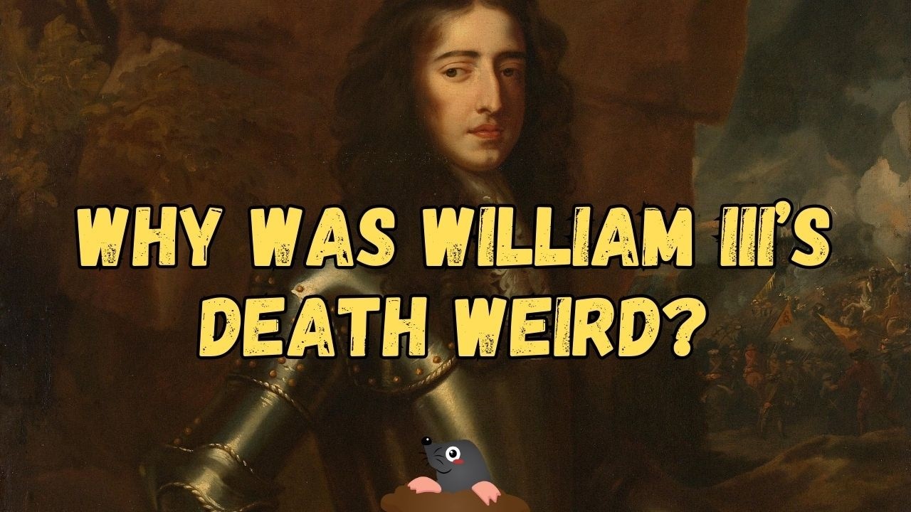 The ODD DEATH of William III | How did William III die? William, Prince of Orange | @History Calling