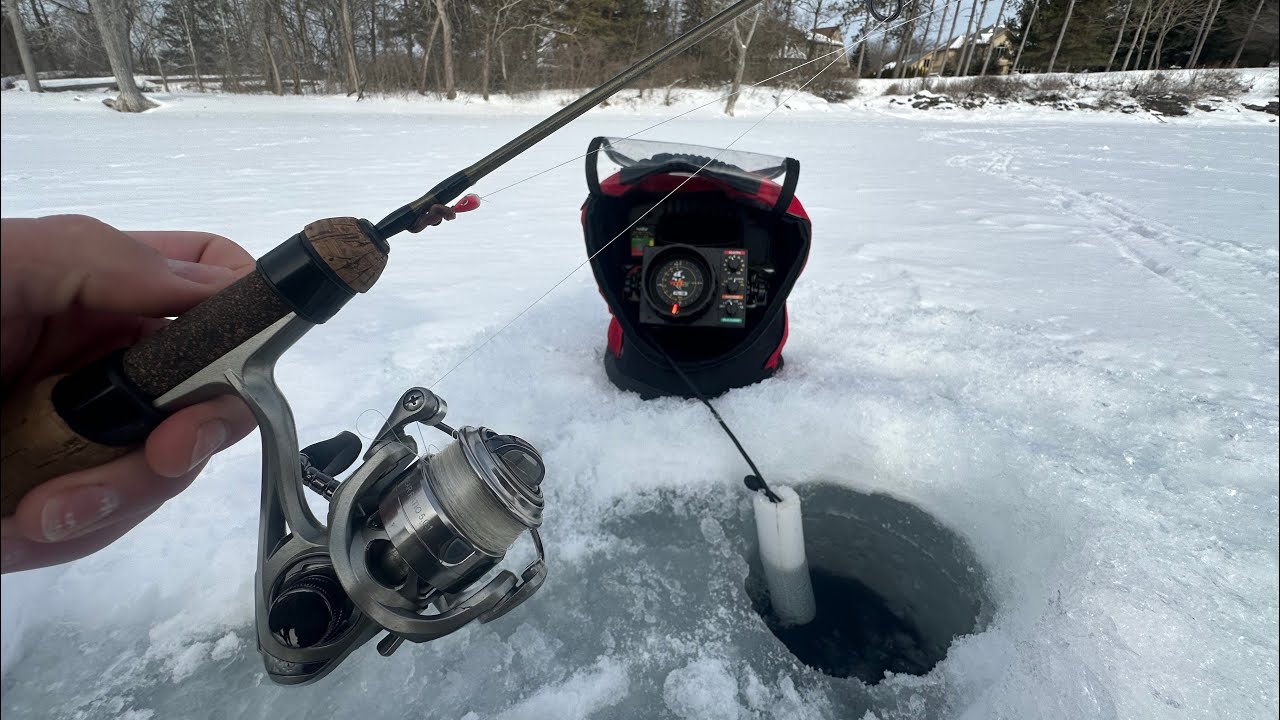 Multi Species Ice Fishing!!!