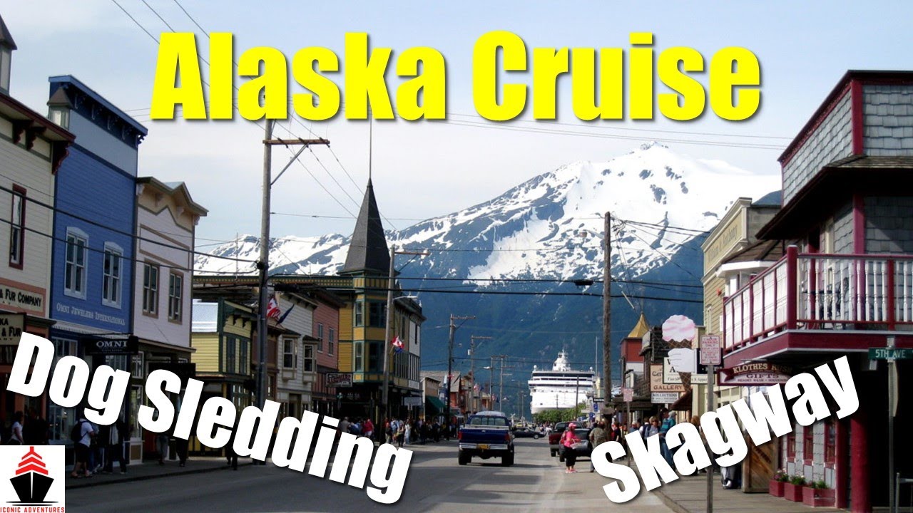 Skagway Dog Sledding | Norwegian Spirit | Alaska Cruise | Excursion | Puppies!
