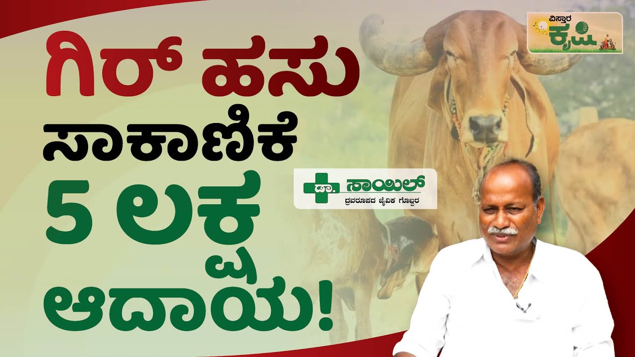 ಗಿರ್‌ ಹಸು ಸಾಕಾಣಿಕೆ | 5 ಲಕ್ಷ ಆದಾಯ! | Vistara Krishi | Gir Cow Farm In Kannada | Davangere