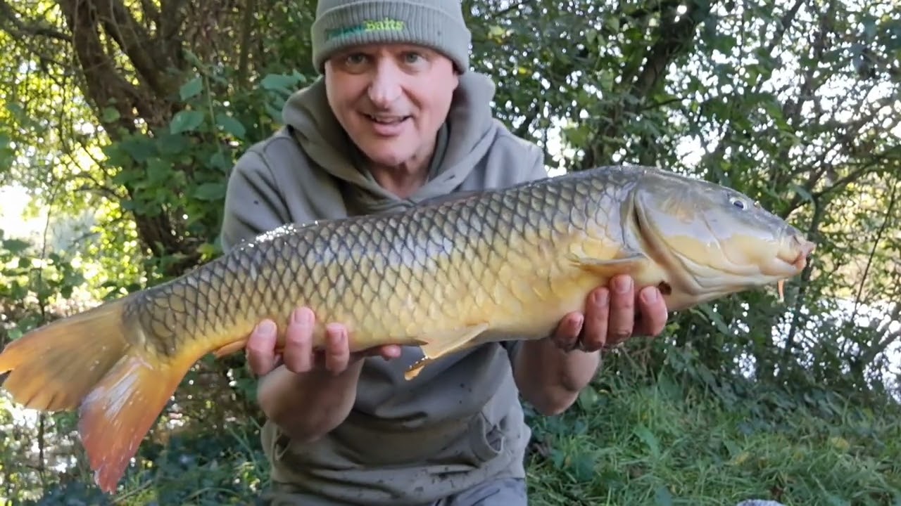 Return to Lake Farm, Fordingbridge a UK Carp fishing holiday part two late September #33