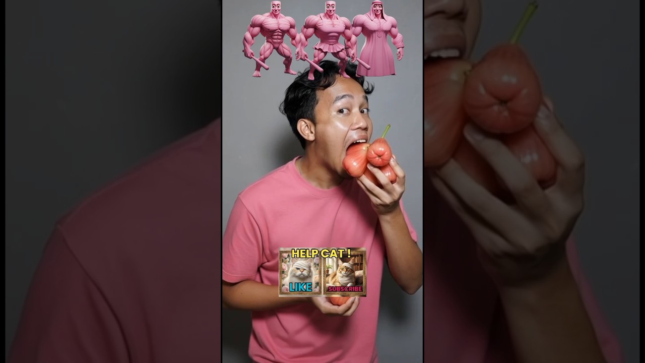 lagu anomali versi arab india bikin semangat - pink fruits 