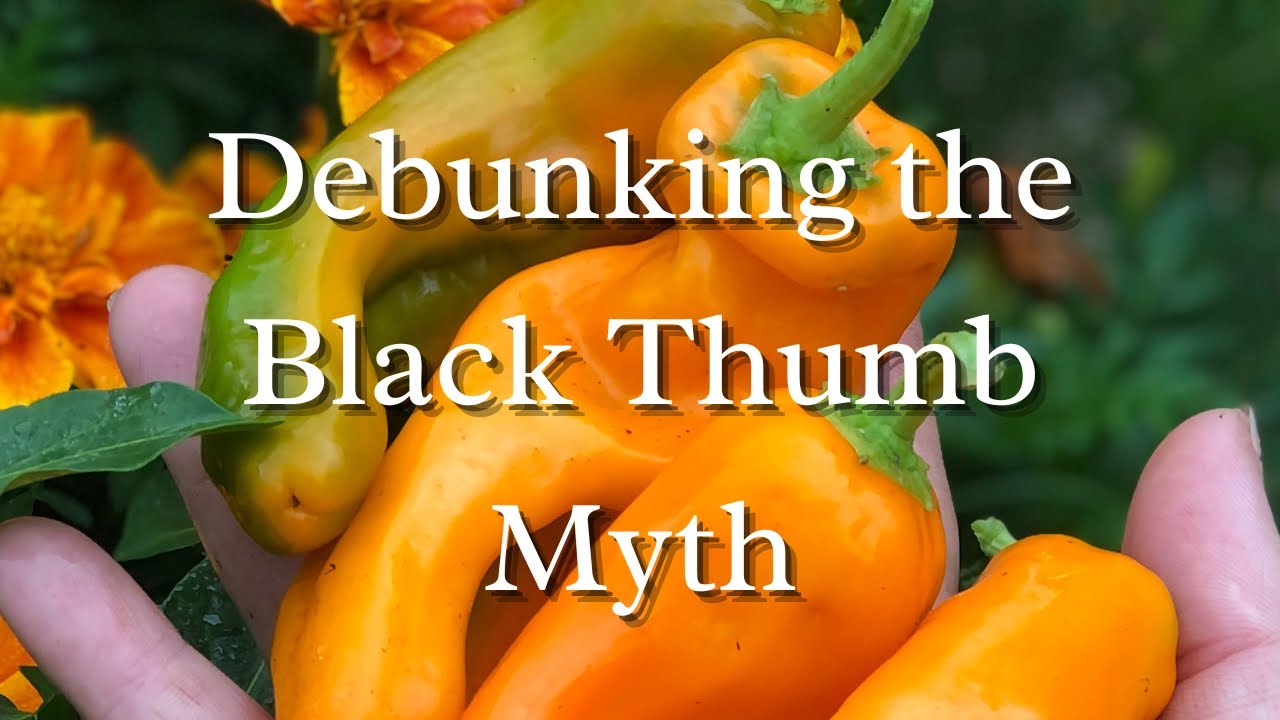 Debunking the Black Thumb Myth