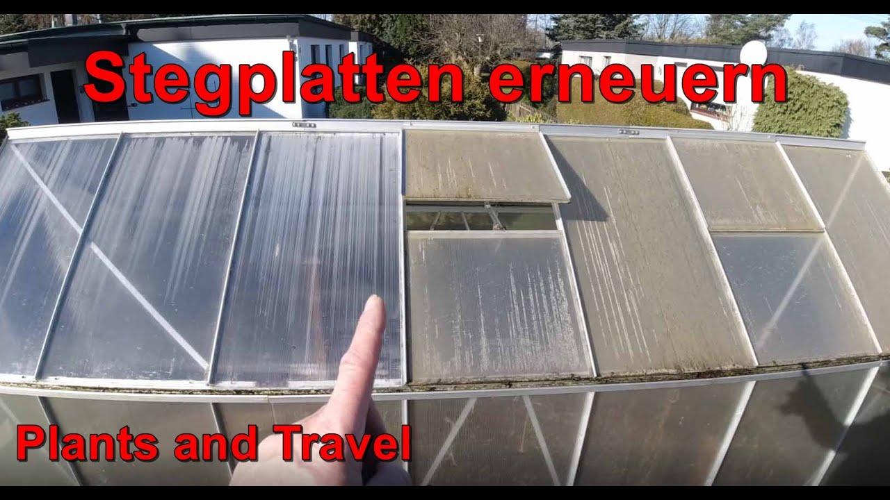 Gewächshaus Stegplatten, Hohlkammerplatten erneuern und sturmsicher verbauen