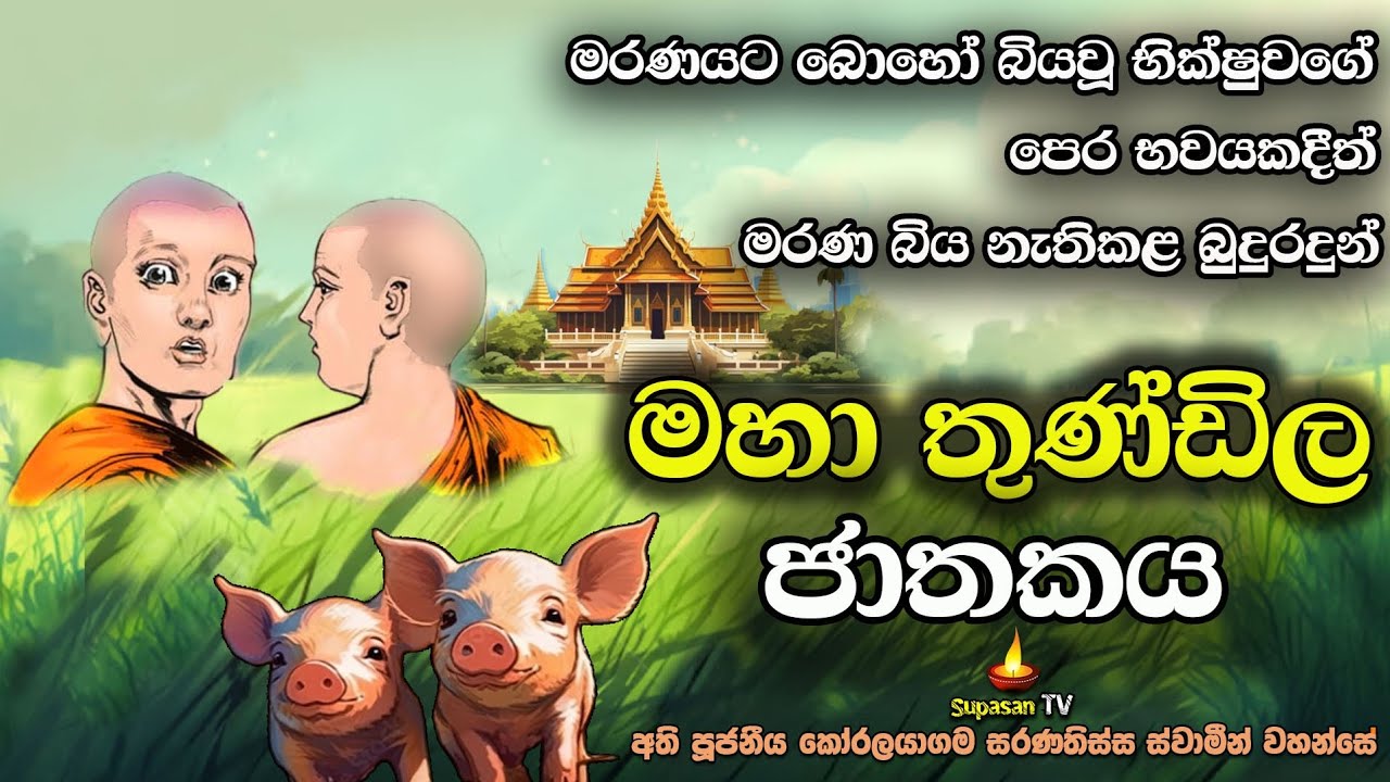 මහා තුණ්ඩිල ජාතකය | මරණයට බිය වූ භික්ෂුවගේ පෙර භවයේ බිය නැතිකළ බෝසතුන් | Maha Thundila Jathakaya.