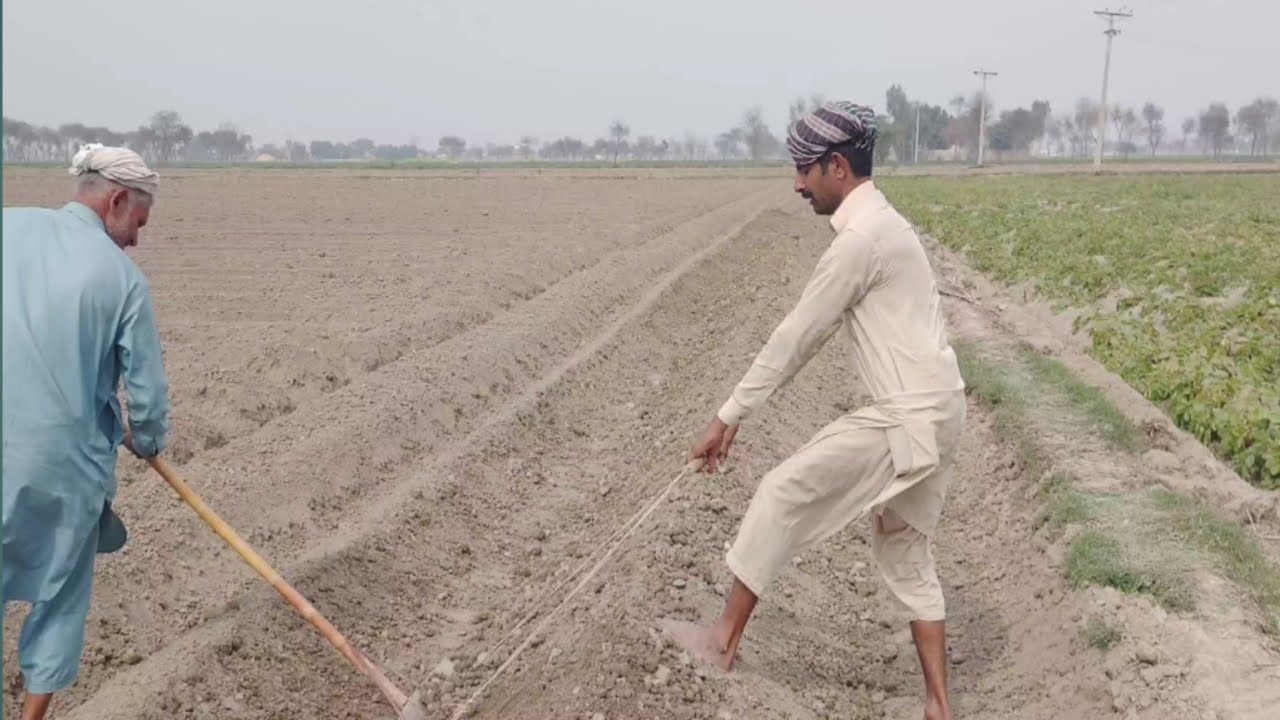 supply water in khet|Aslam Sultan mix vlog