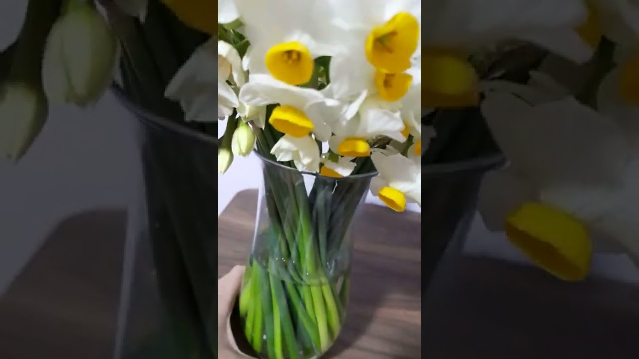CANLI ÇİÇEK VAZODA SUYUN İÇİNDE NASIL DAHA UZUN SÜRE KALIR | CANLI ÇİÇEK | NERGİS SUYUN İÇİNDE