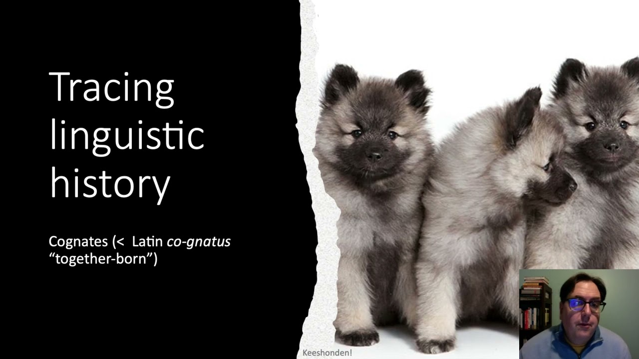 Introduction to Historical Comparative Linguistics