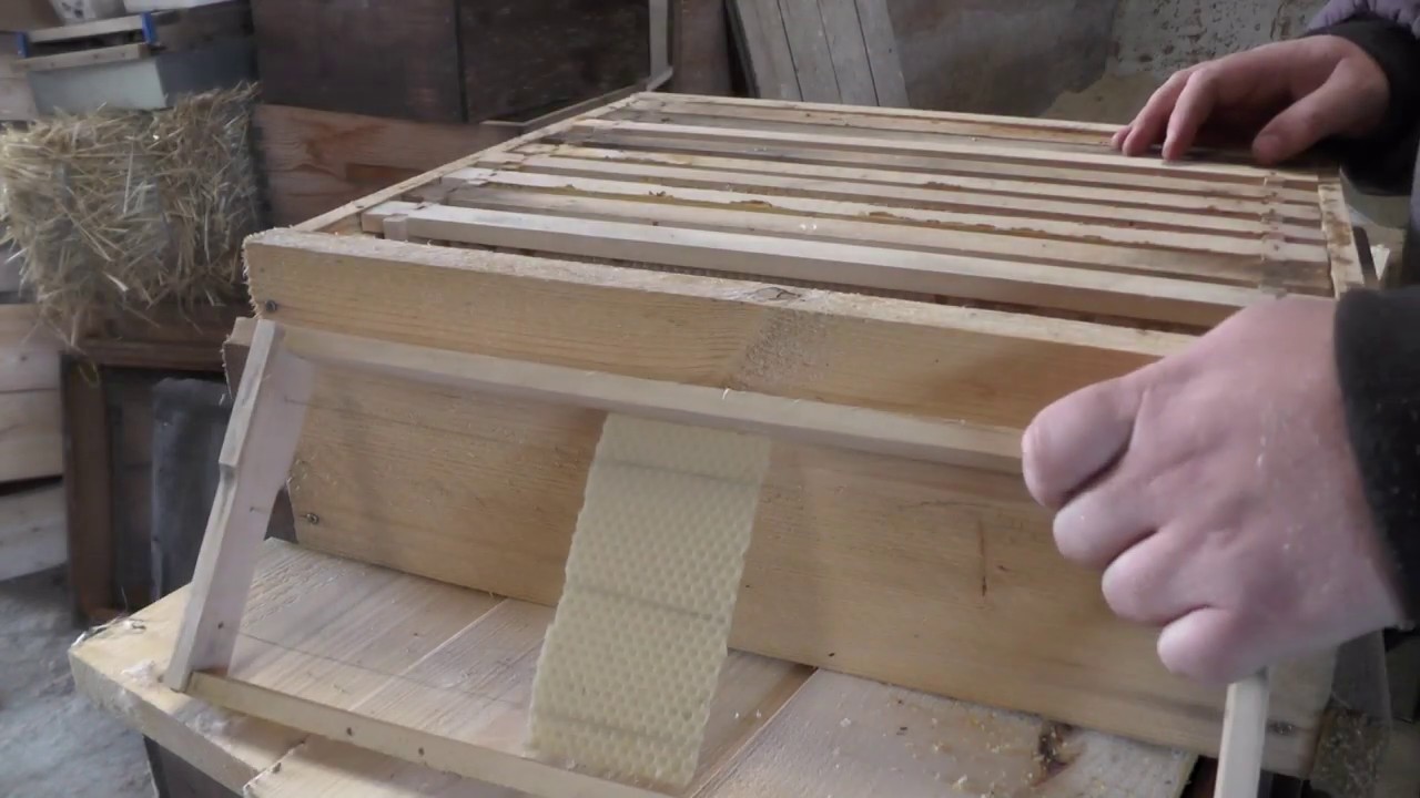 Bienen Honigraum vorbereiten, Naturnah Naturwabenbau