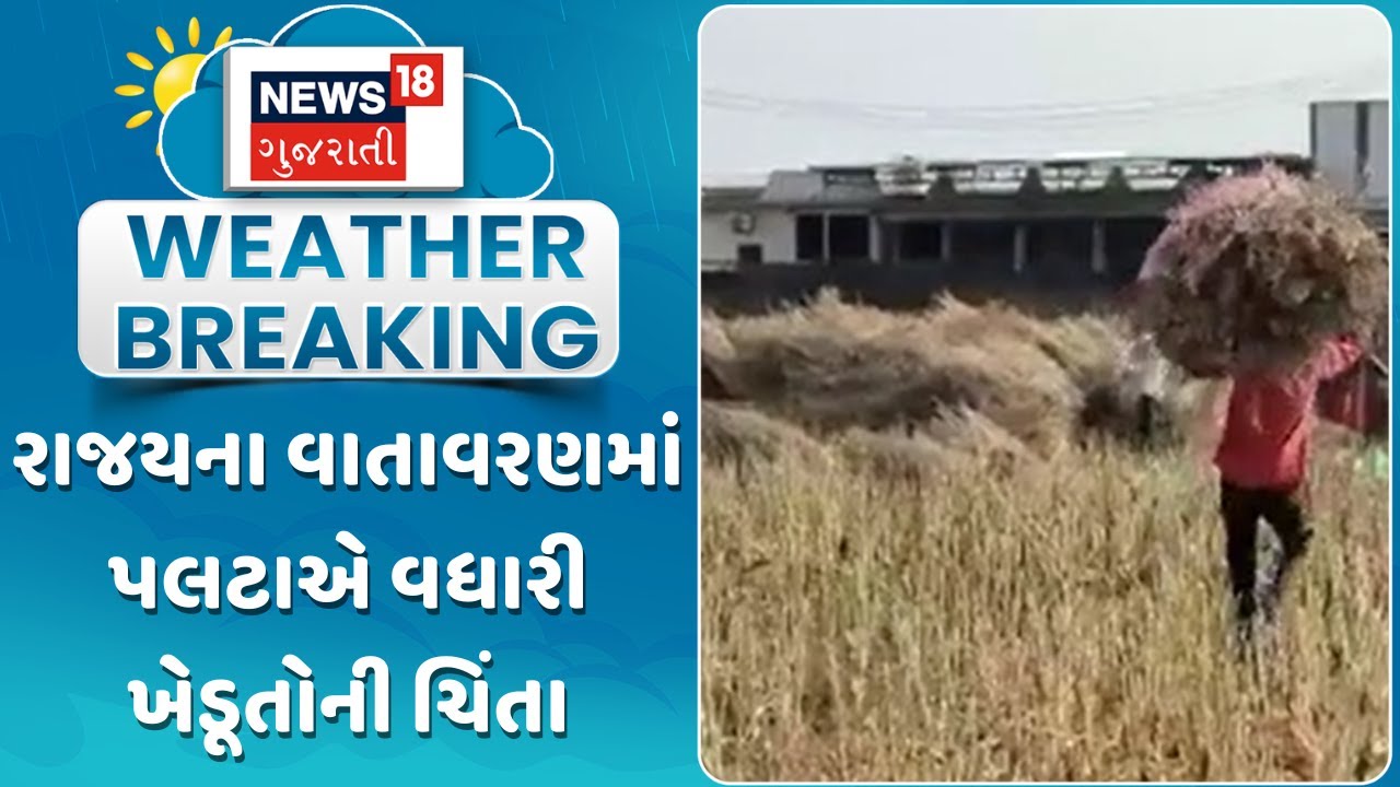 Aravalli Crop Damage News |રાજયના વાતાવરણમાં પલટાએ વધારી ખેડૂતોની ચિંતા | Gujarati Samachar | News18