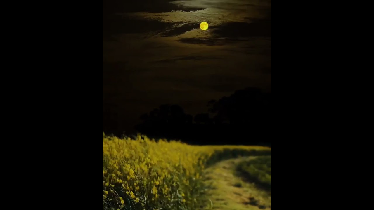 Dreamy Night #natureshortsvideo