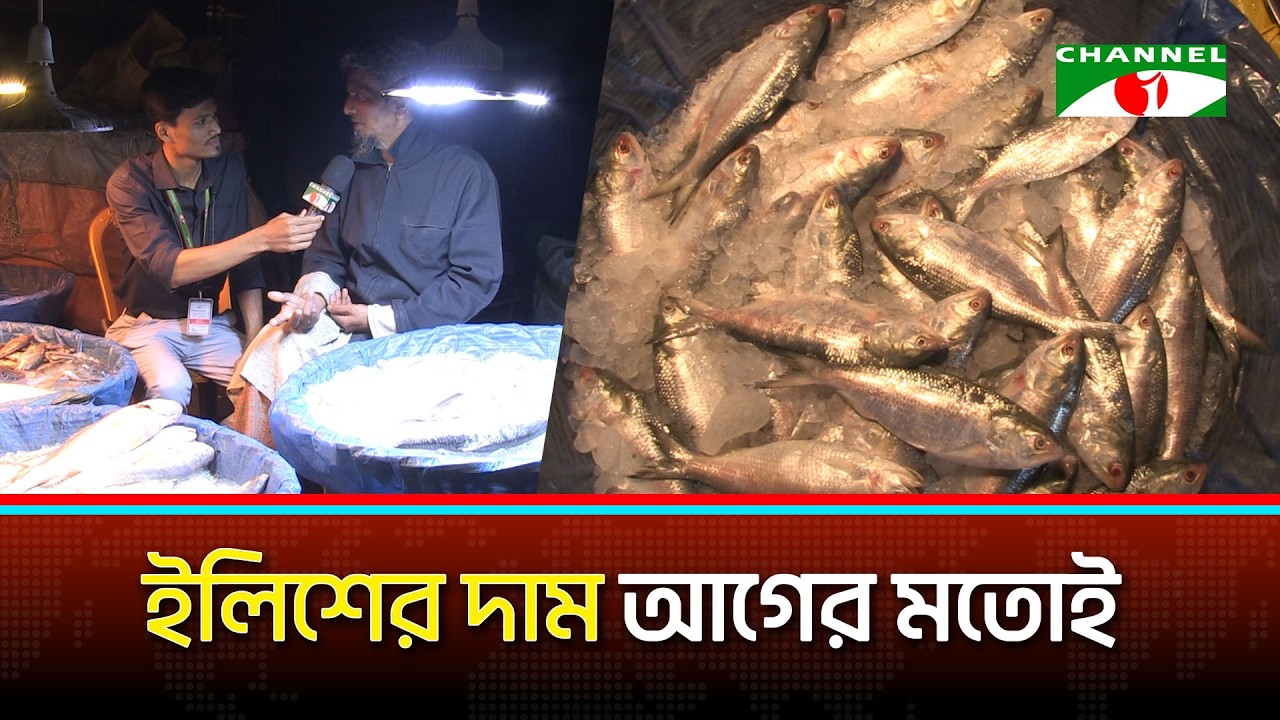 ইলিশের দাম অপরিবর্তিত!