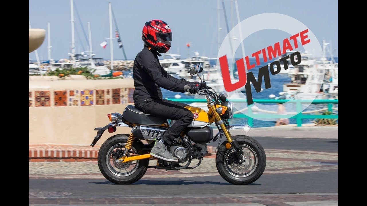 2019 Honda Monkey First Ride Review | Ultimate Motorcycling