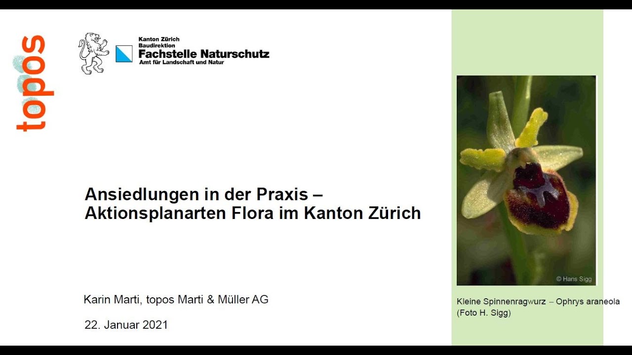 Ansiedlungen in der Praxis &ndash; Aktionsplanarten Flora im Kanton Z&uuml;rich von Karin Marti