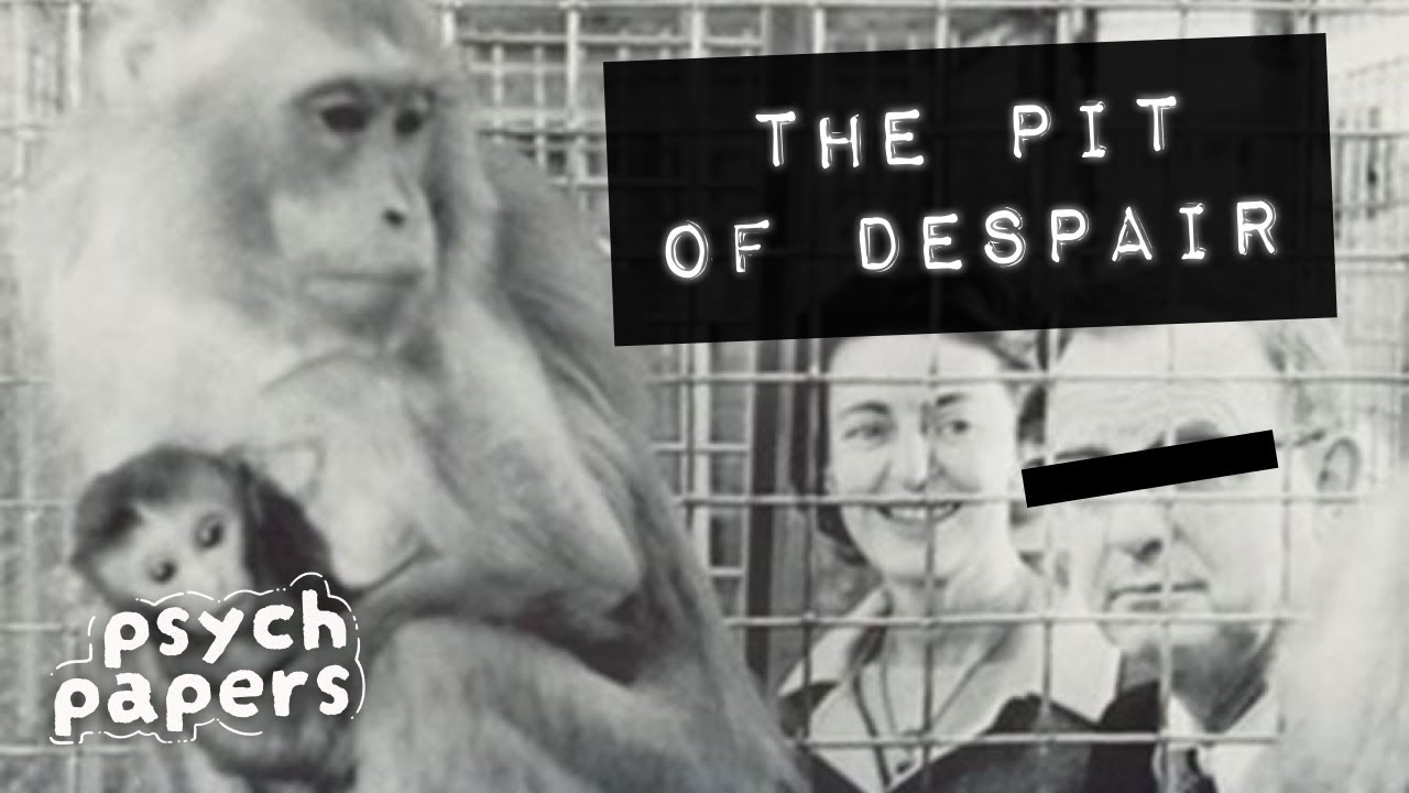The Pit of Despair / Depression in Monkeys (Harlow’s Monkey Study Pt 2) - Psych Papers