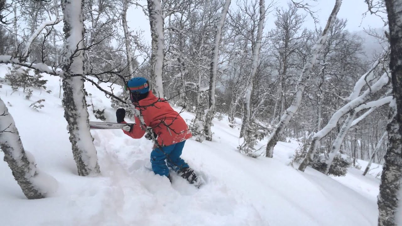 Fun&auml;sdalen 2014