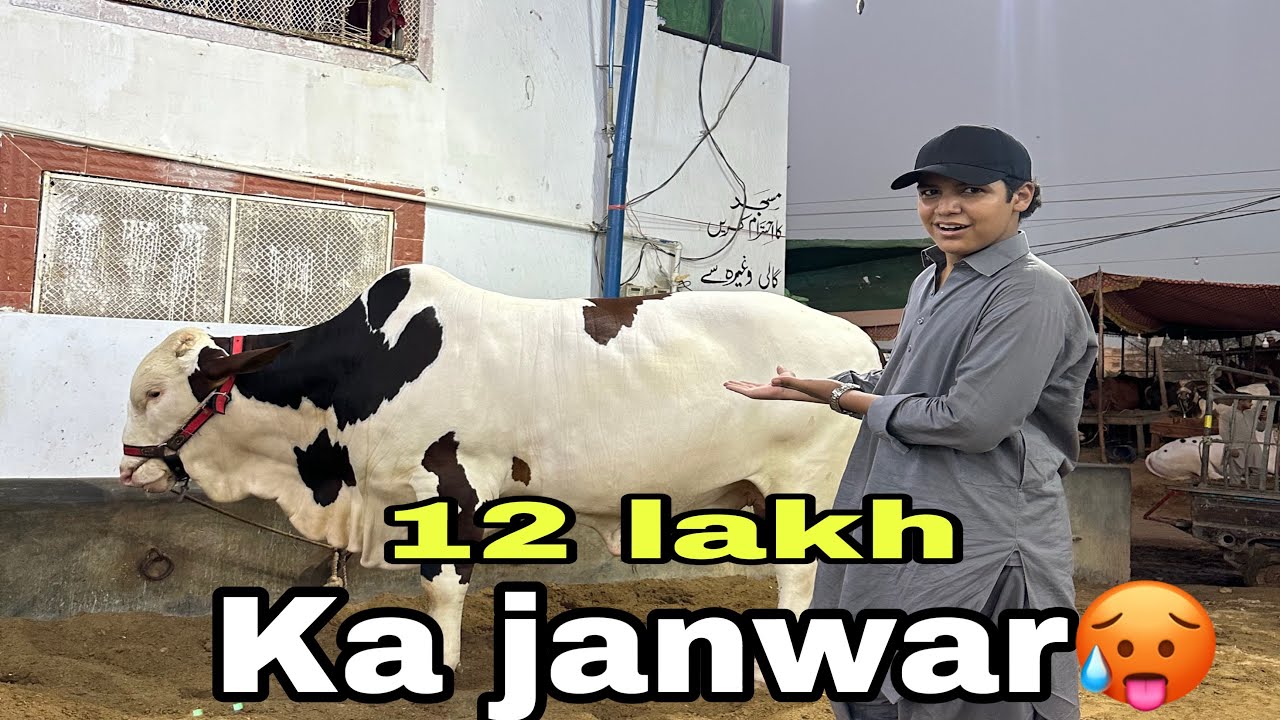 12 lakh ka janwar🫣🥵mandi vlog✌🏻