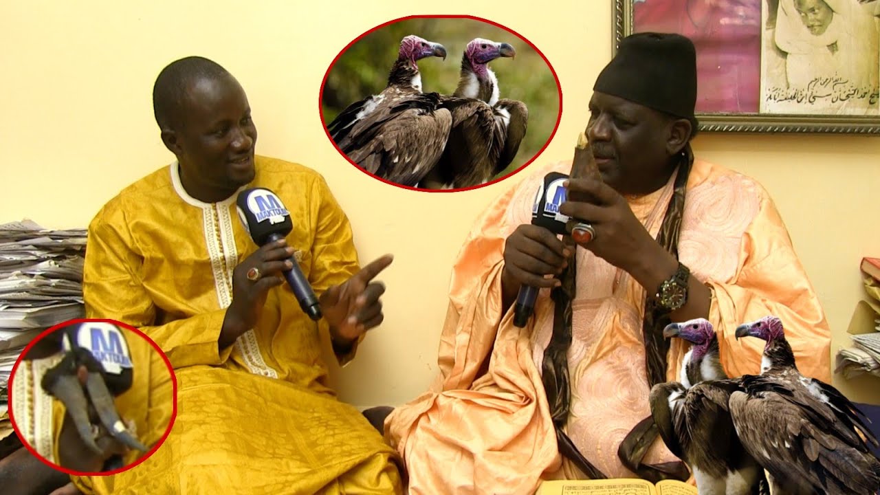 Asrarou Rabbaniya ÉPISODE 7 / Serigne Souleymane Niang- Mercredi 07 Juin 2023