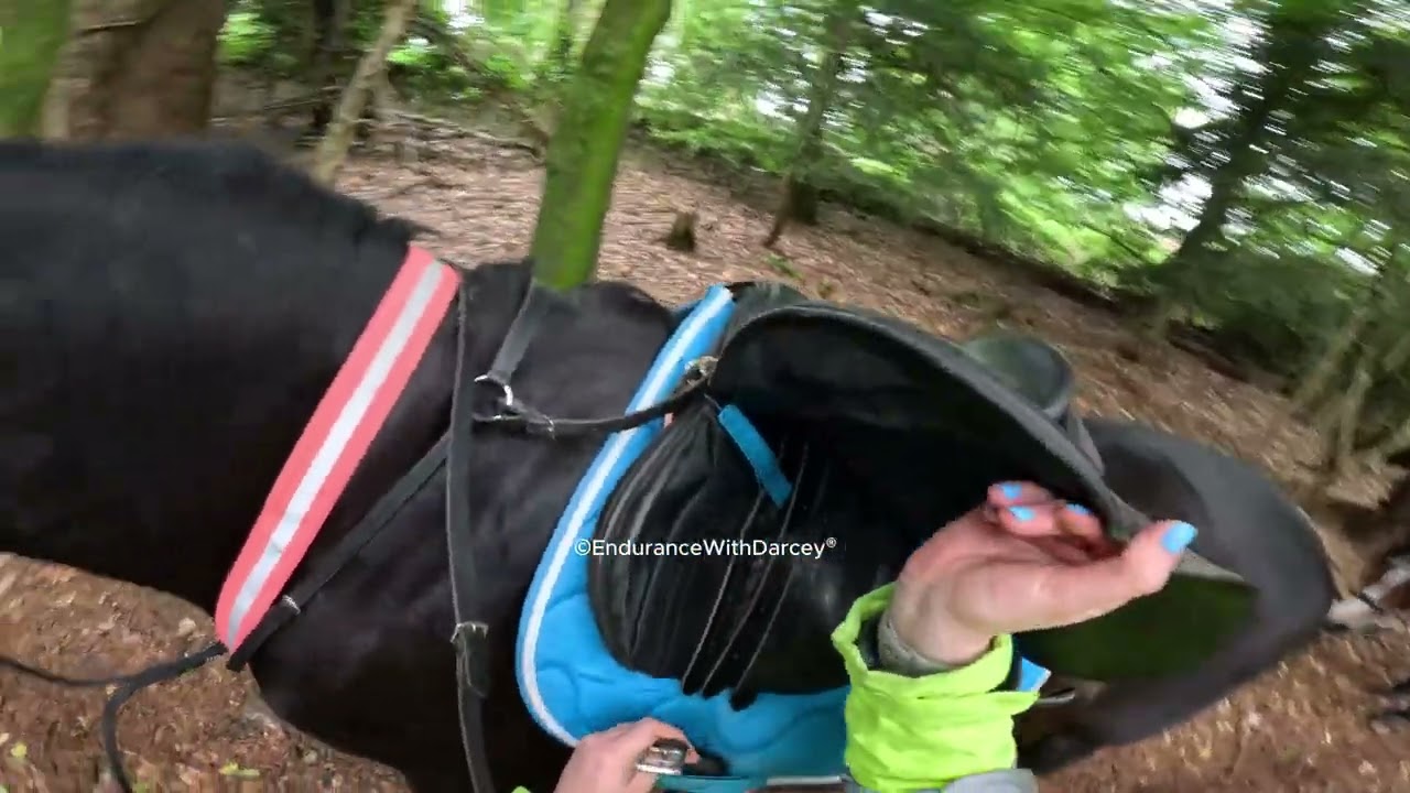 Darcey & Rocky exploration ride