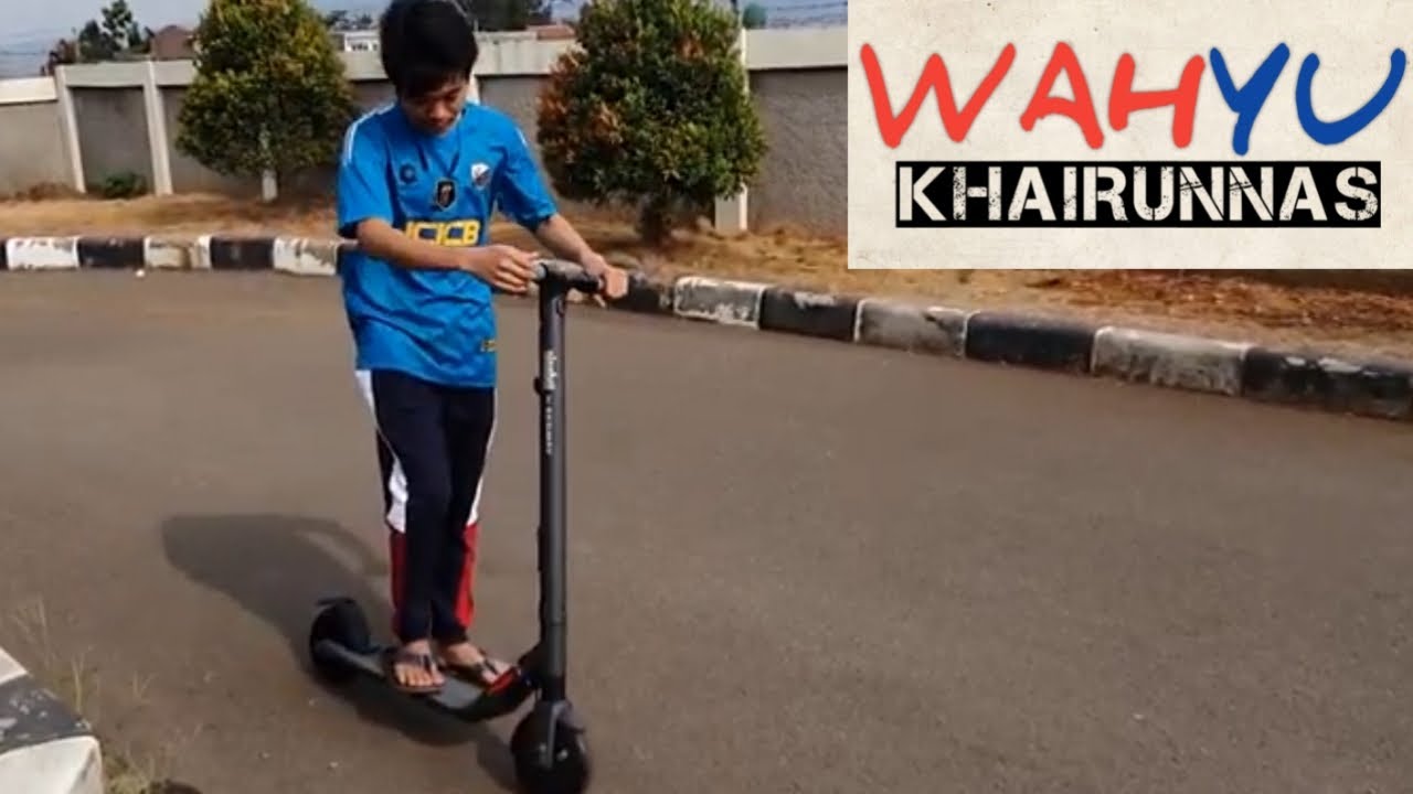 Ninebot ES2 Kick Scooter Electric by Segway Black Indonesia