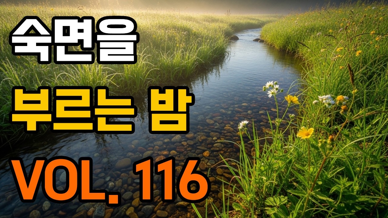 숙면을 부르는 밤 VOL.116