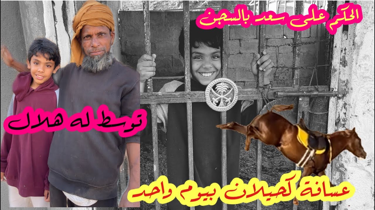 تحدي والخسران ينسجن فالمربط🥲🐎||عسف كحيلان بيوم واحد✅