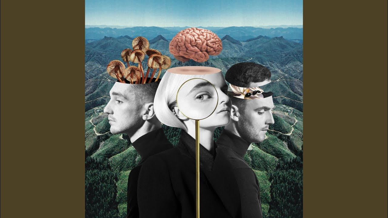 Should've Known Better (feat. Anne-Marie)