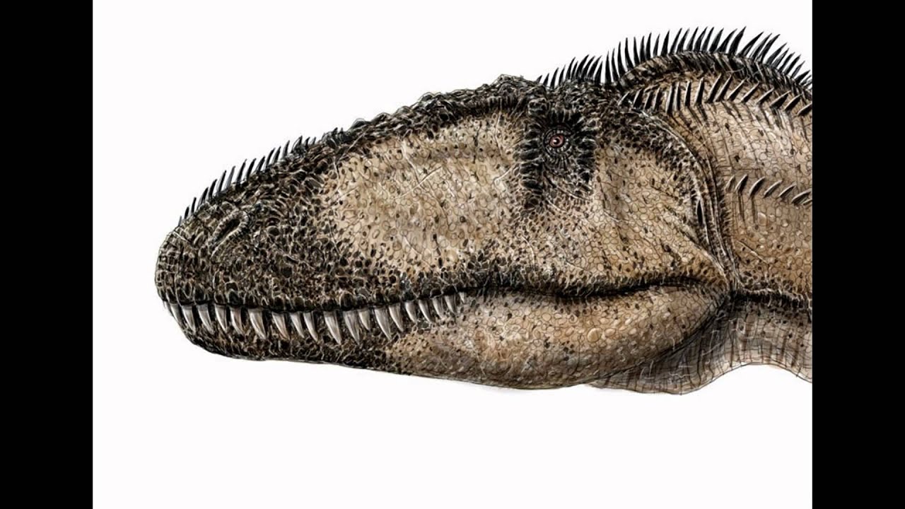 Top 10 Dangerous Dinosaurs that are Carnivores