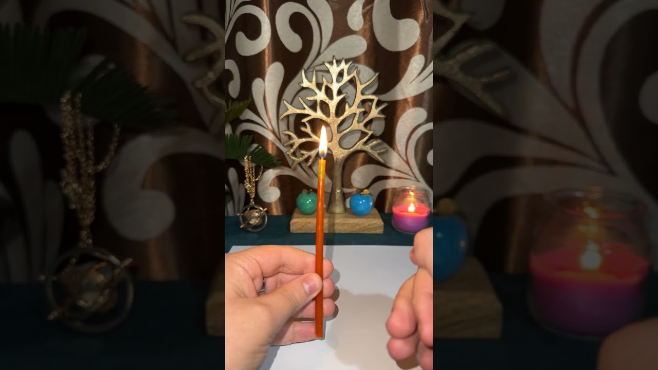 გაფრთხილება ამ მომენტისთვის 🐈‍⬛🧿🌞🐈🌙☘️