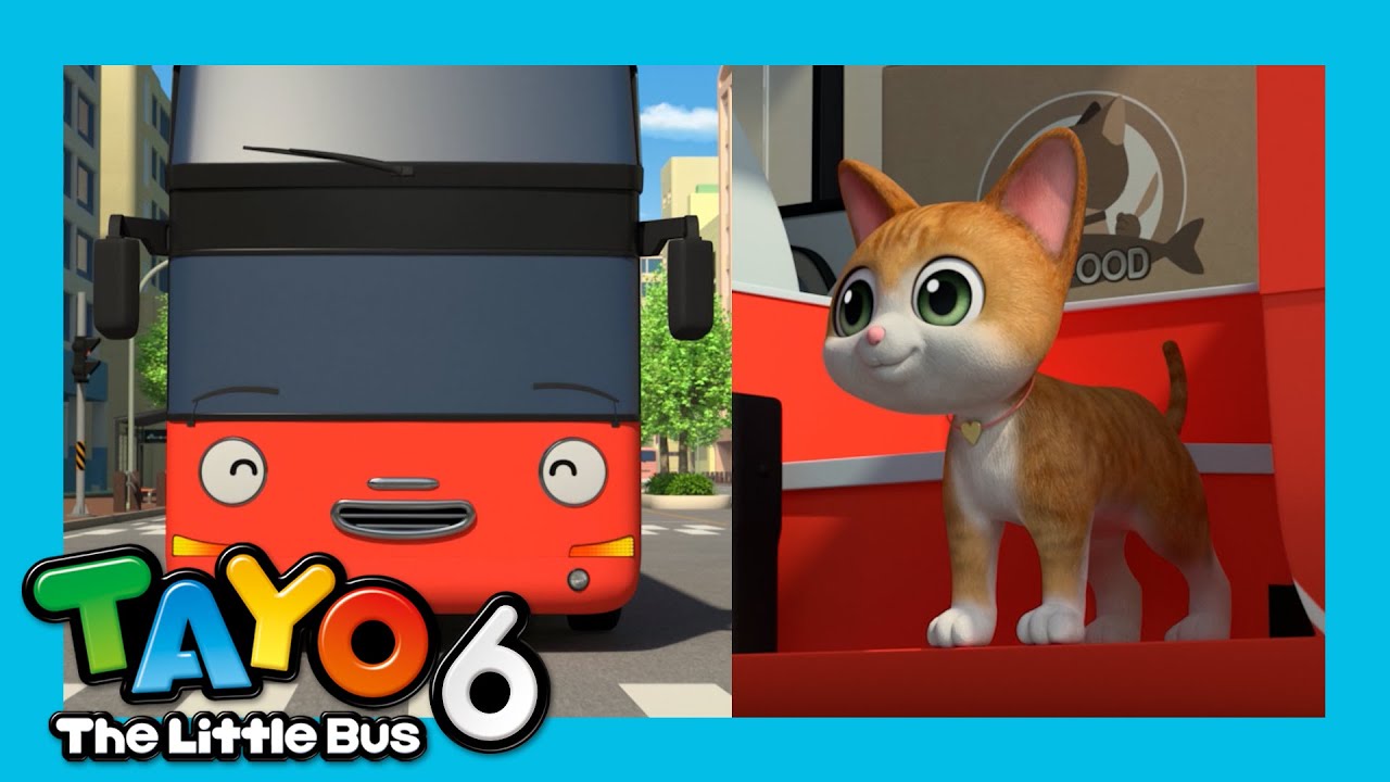 Please Take Care of the Cat | Tayo S6 Short Episode | Kids Cartoon | Tayo the Little Bus