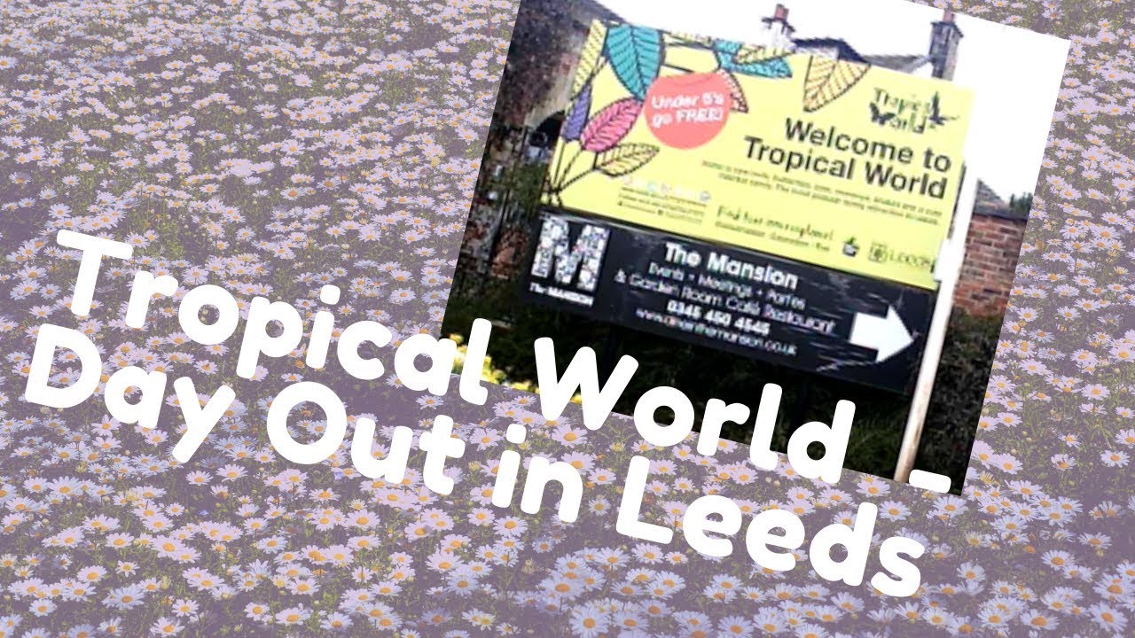 Tropical World  - Day Out in Leeds