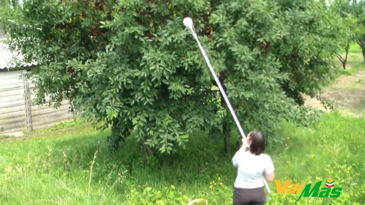 VALMAS FRUIT PICKER (English)