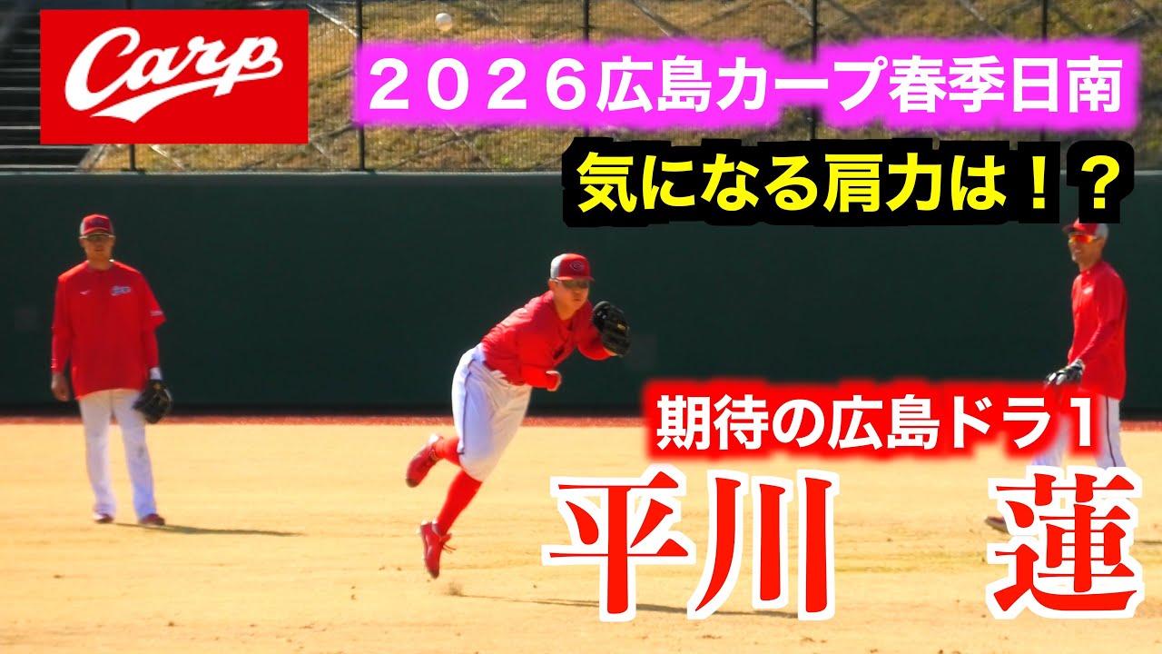 気になる広島ドラ１平川蓮の肩力は！？久保修も爆肩を観せる！外野陣の捕球&送球！【２０２６広島東洋カープ春季日南キャンプ】