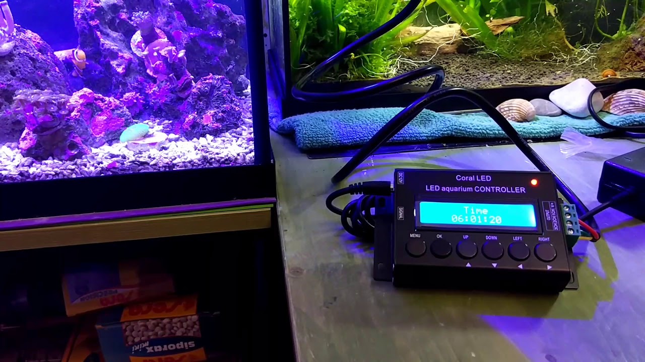 Acuario Hydra 80 Marino: Unboxin pantalla coral led 60 de ICA