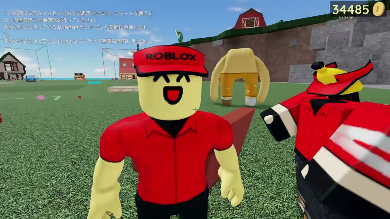 Roblox_20260303194807