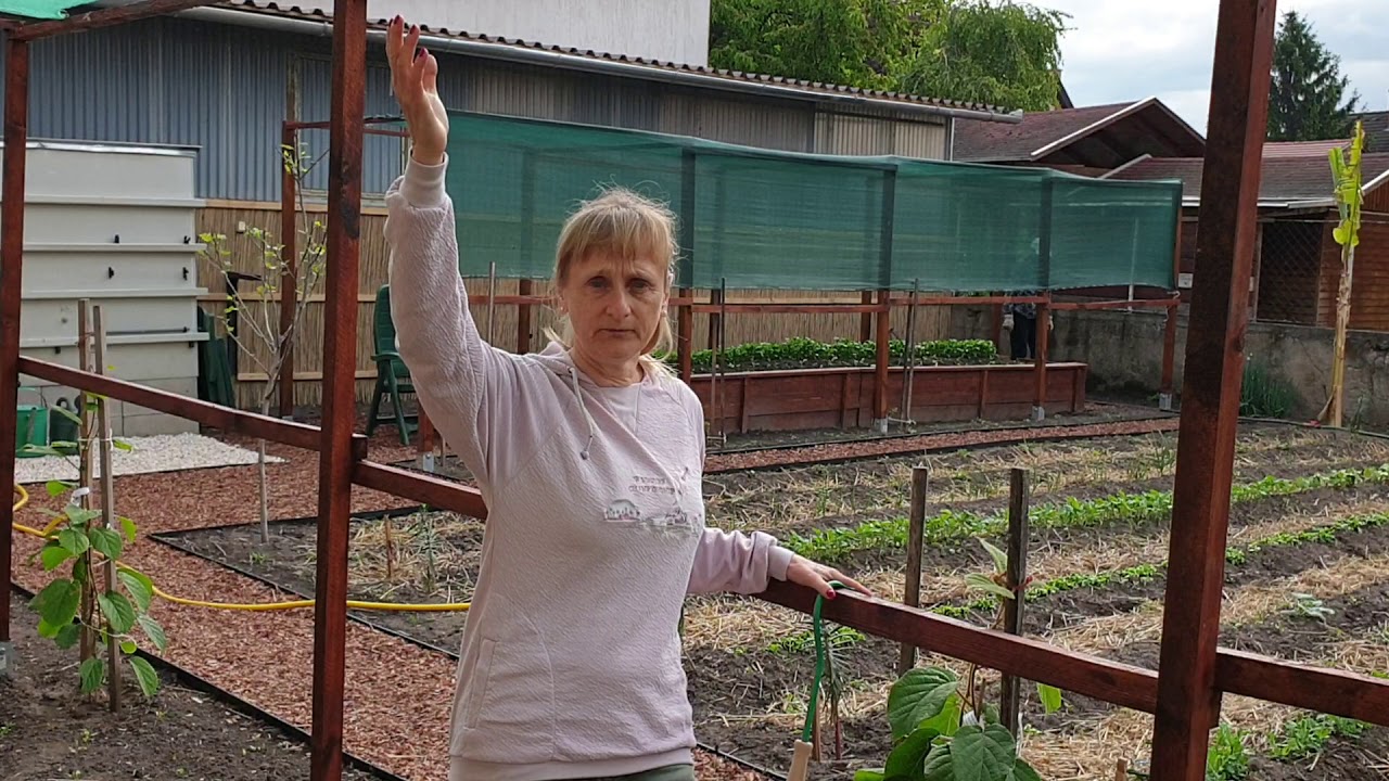 Árnyékolás a biokertben