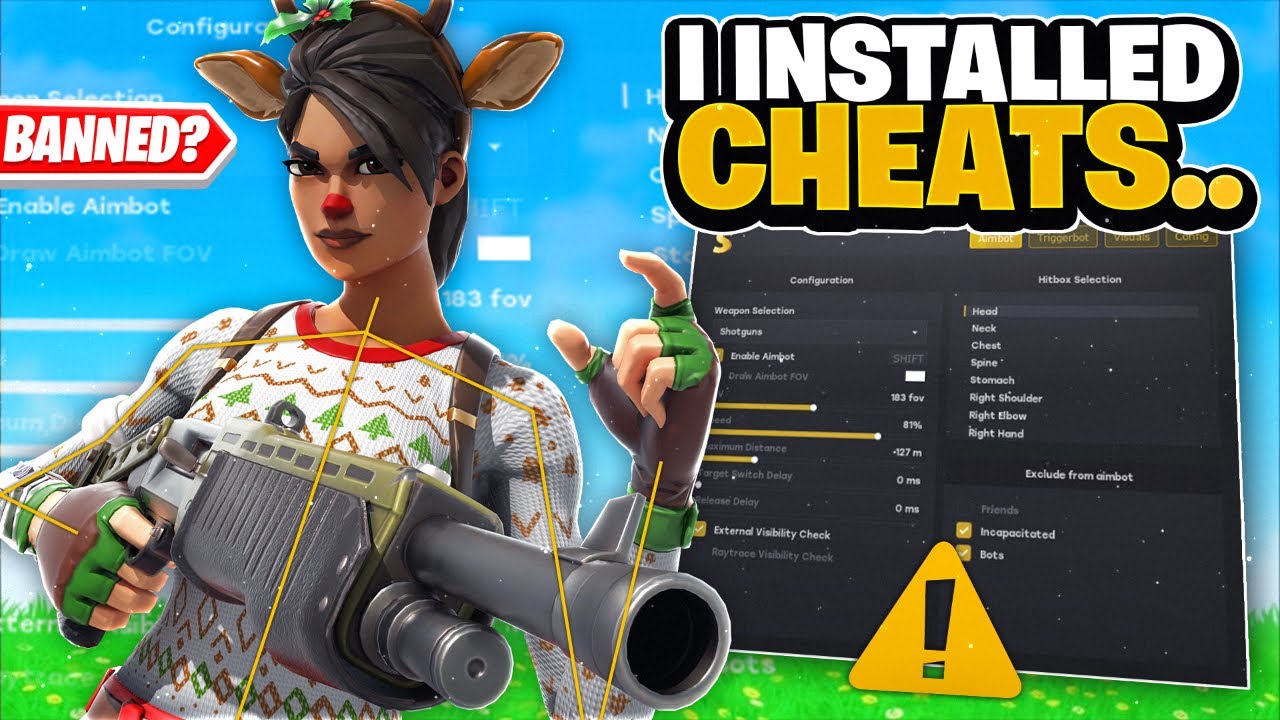 I Installed Fortnite Cheat And It Was Crazy... (FT. Solaris Fortnite)