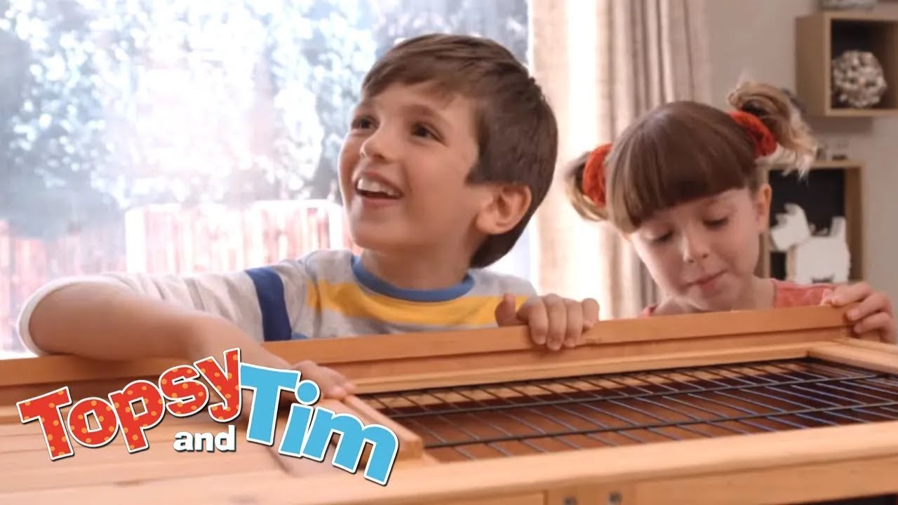 Büyük kutu & Bulucu arayanlar | Topsy & Tim Çift bölüm 111-112 | HD Full Bölümler