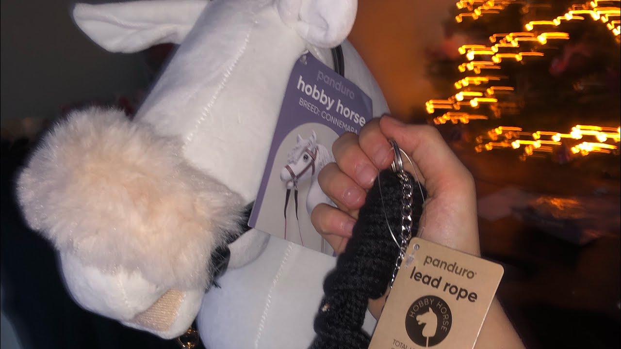 Mega pipoos hobby horse unboxing!!!!!💕🐴✨✨😝😝😝