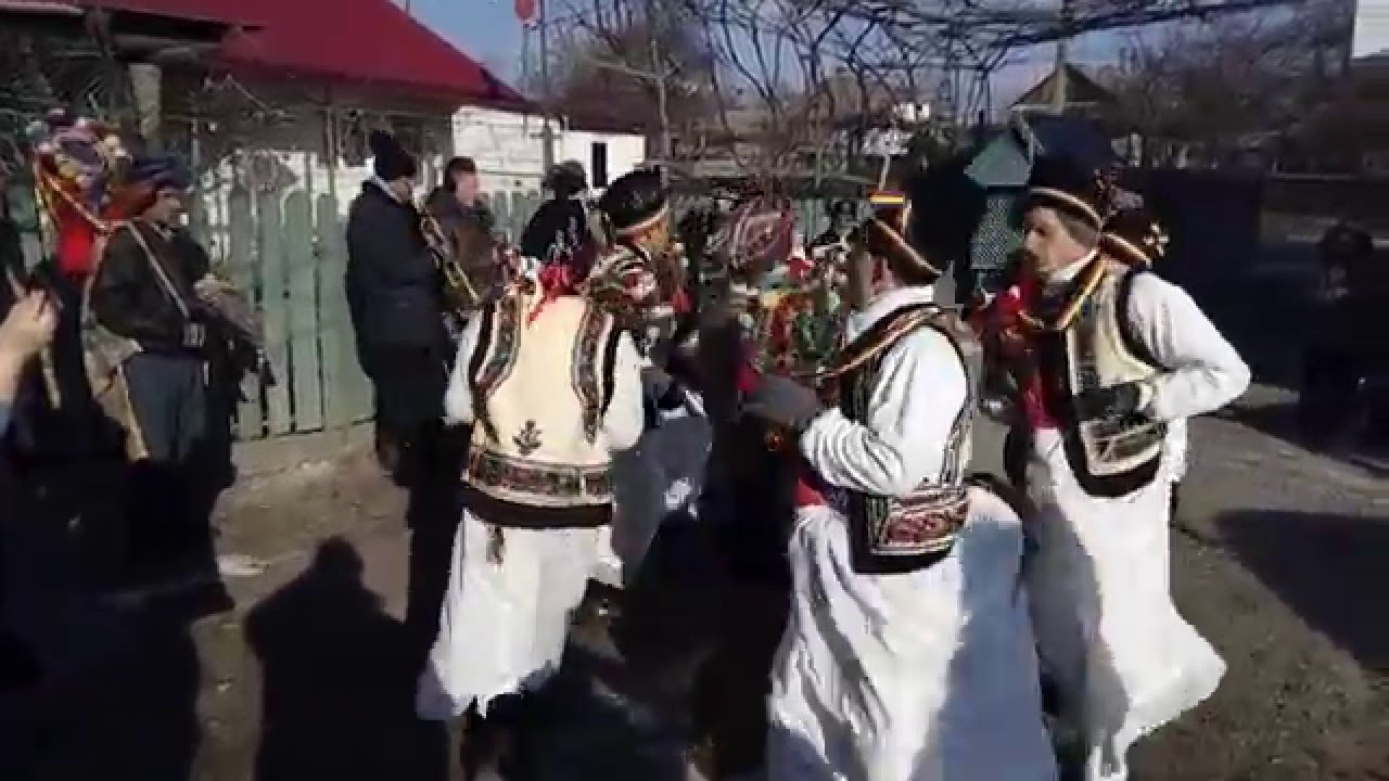 Capra caiuti 2 sat Buda, comuna Lespezi, jud. Iasi